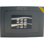 CASSAFORTE A MURO ELETTRONICA L31 P19,5 H21CM (851PA) MOTORIZZATA