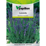 LAVANDA