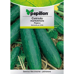 SEMI ORTO "CETRIOLO MARKETMORE" - CF. BUSTA 5 GR.
