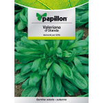 SEMI ORTO "VALERIANA D'OLANDA" - CF. BUSTA 4 GR.