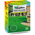 SEMI PRATO PAPILLON ERBA CALPESTABILE SEMENTI DA GIARDINO RESISTENTE 1 KG