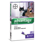 BAYER ADVANTAGE SPOT ON 80 GATTI OLTRE KG.4