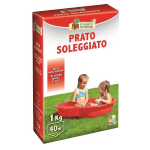 HELP SEMI PRATO SOLEGGIATO KG.1 IDEALE PER GIARDINI TERENI AL SOLE SOLEGGIATI - FACIEL MANUTENZIONE 