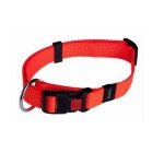 PET COLLARE NYLON CM.55 MM.20 COLORI ASSORTITI