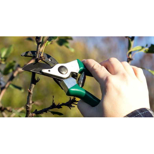 Attrezzi da giardino cesoie da potatura agricole professionali